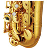 Kèn Saxophone Alto Yamaha YAS82Z, Gold Lacquer - Việt Music