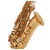 Kèn Saxophone Alto Yamaha YAS875EX - Việt Music