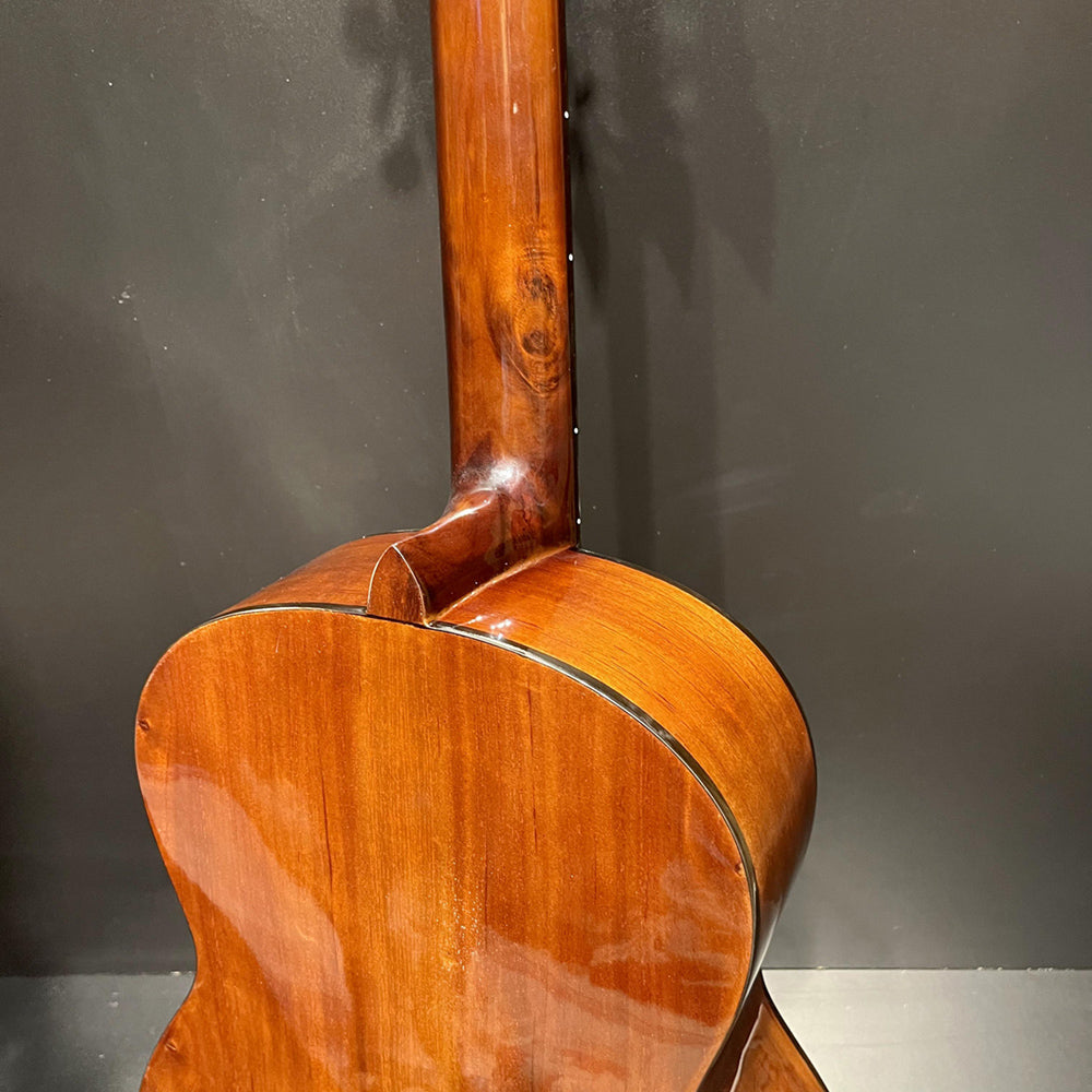 Đàn Guitar Ba Đờn C100 Classic