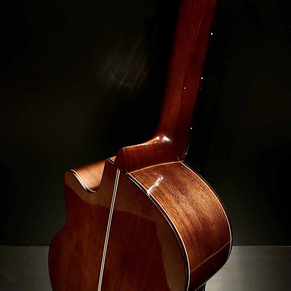 Đàn Guitar Ba Đờn C170J Classic