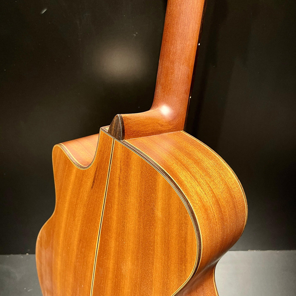 Đàn Guitar Ba Đờn T450 Acoustic