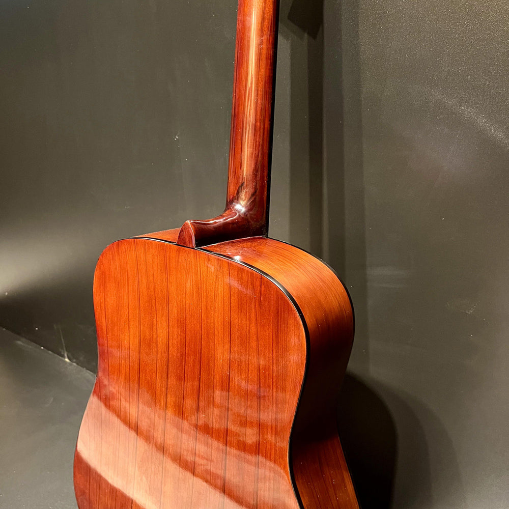 Đàn Guitar Ba Đờn VE70D Acoustic