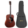 Guitar Martin D10E Sapele Road Series