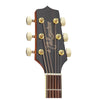 Đàn Guitar Takamine GD51 Acoustic - Việt Music