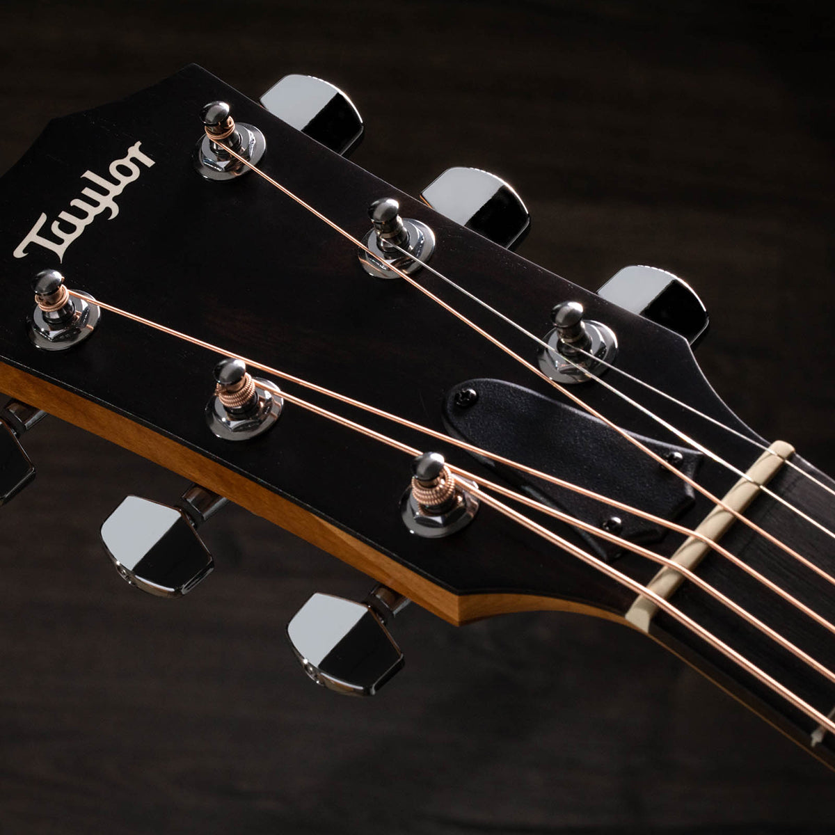 Đàn Guitar Taylor 210CE Plus Acoustic w/Bag