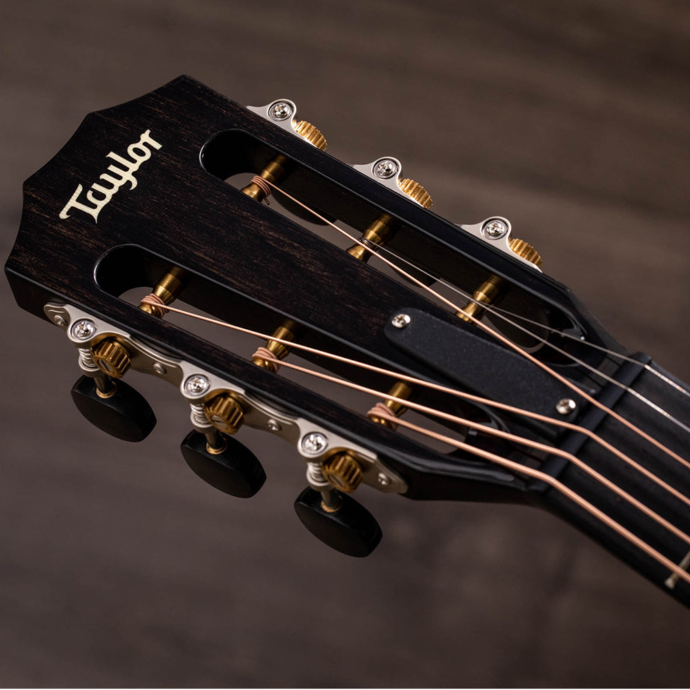 Guitar Taylor 
