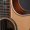 Đàn Guitar Taylor 814CEN Classic w/Case