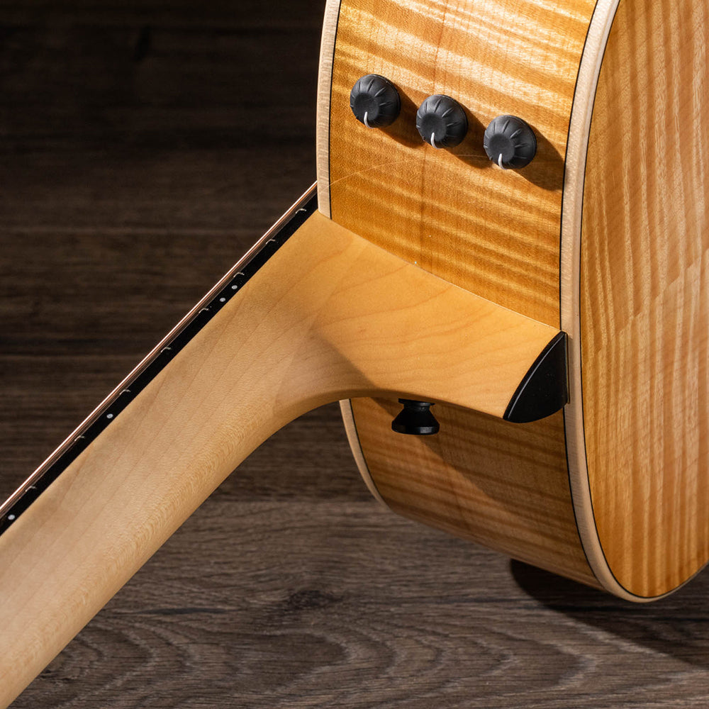 Taylor GT611E LTD