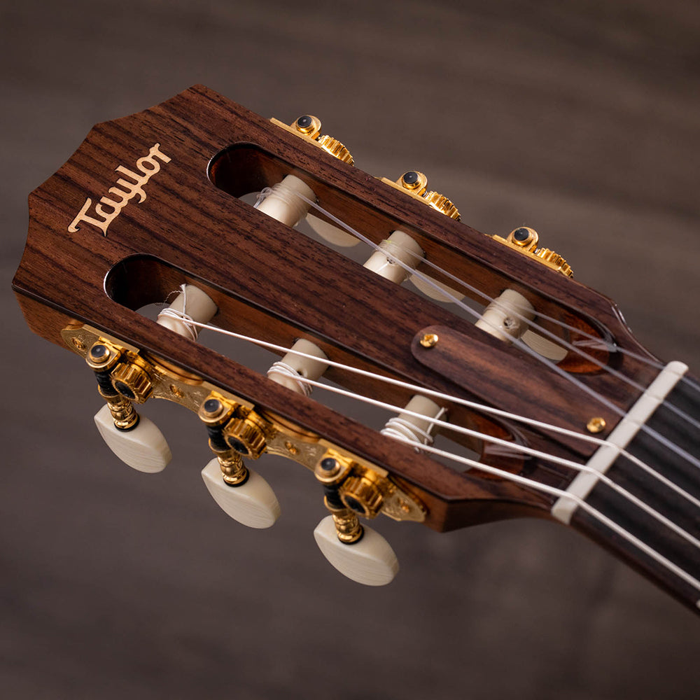 Taylor JMSM Jason Mraz