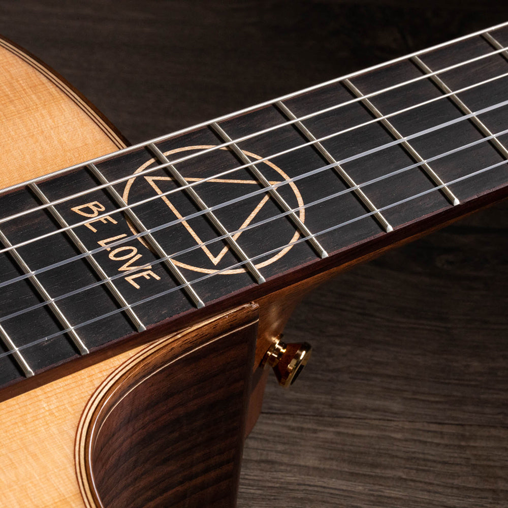 Đàn Guitar Taylor JMSM Jason Mraz Signature Model Classic w/Case