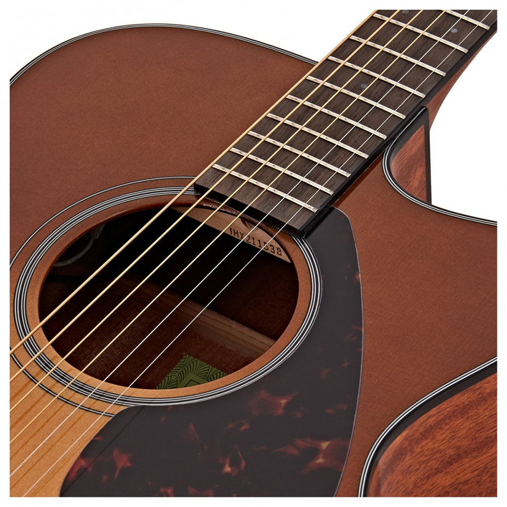 Đàn Guitar Yamaha FSX800C Acoustic