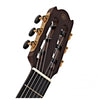 Đàn Guitar Yamaha NCX5 Classic