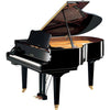 Grand Piano Yamaha GC2 PE - Việt Music