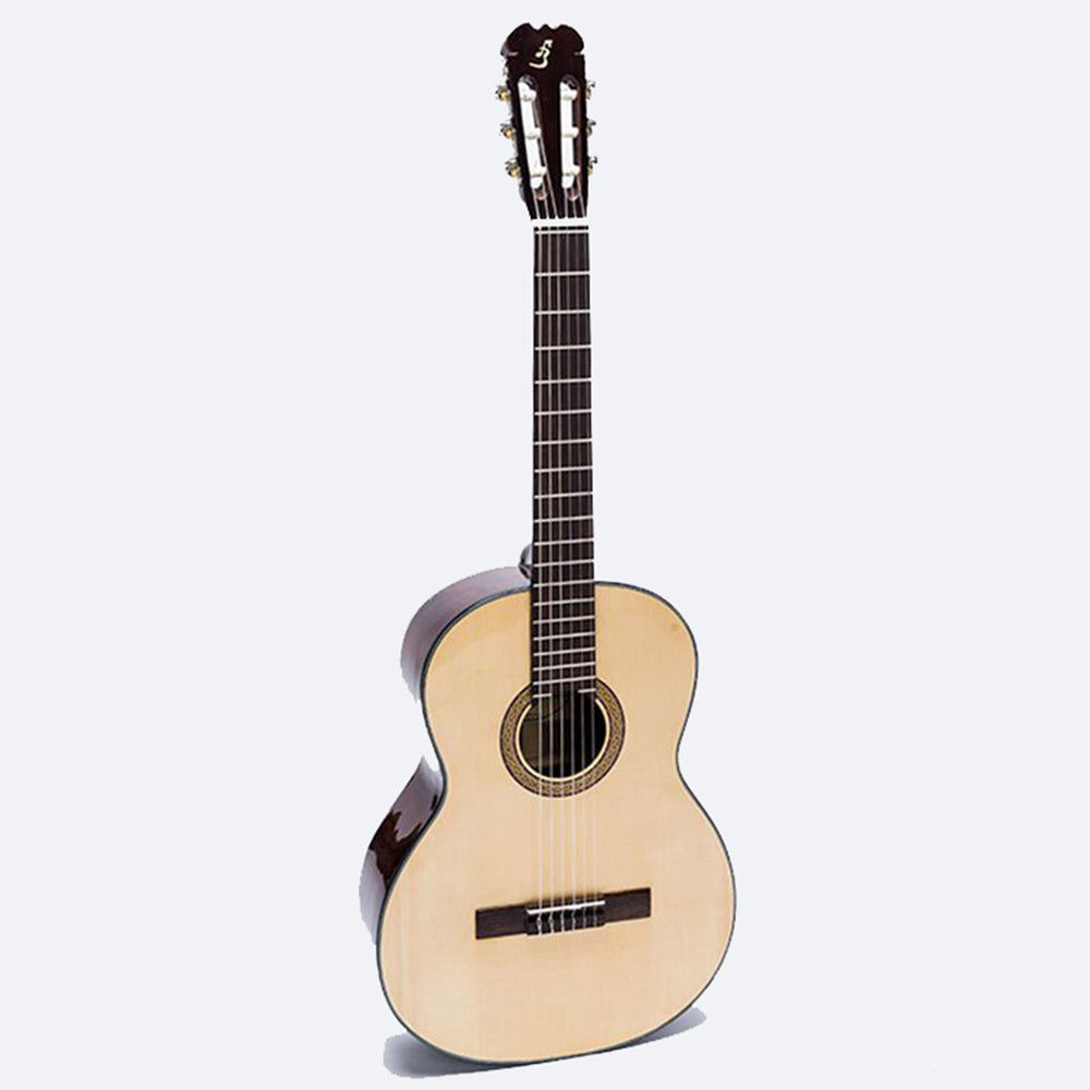 Đàn Guitar Ba Đờn C100 Classic