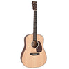 Đàn Guitar Martin D10E Spruce