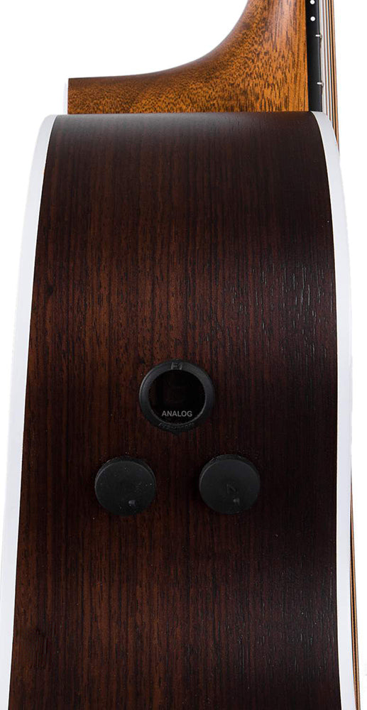 Đàn Guitar Martin GPCPA4