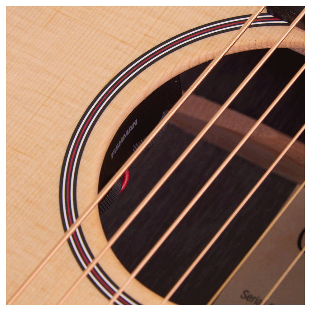 Martin LX1E Little 
