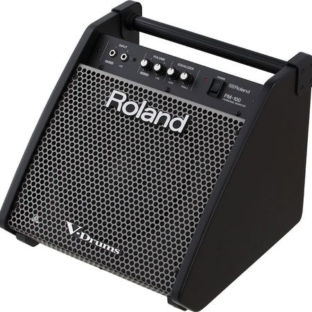 Amplifier Roland PM100, Combo - Việt Music
