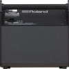 Amplifier Roland PM100, Combo - Việt Music