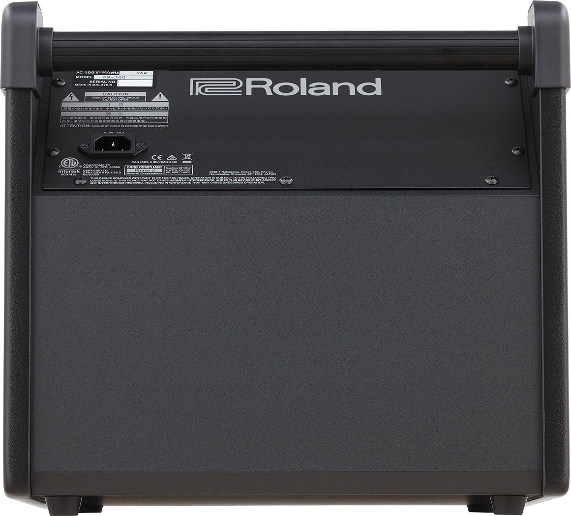Amplifier Roland PM100, Combo - Việt Music