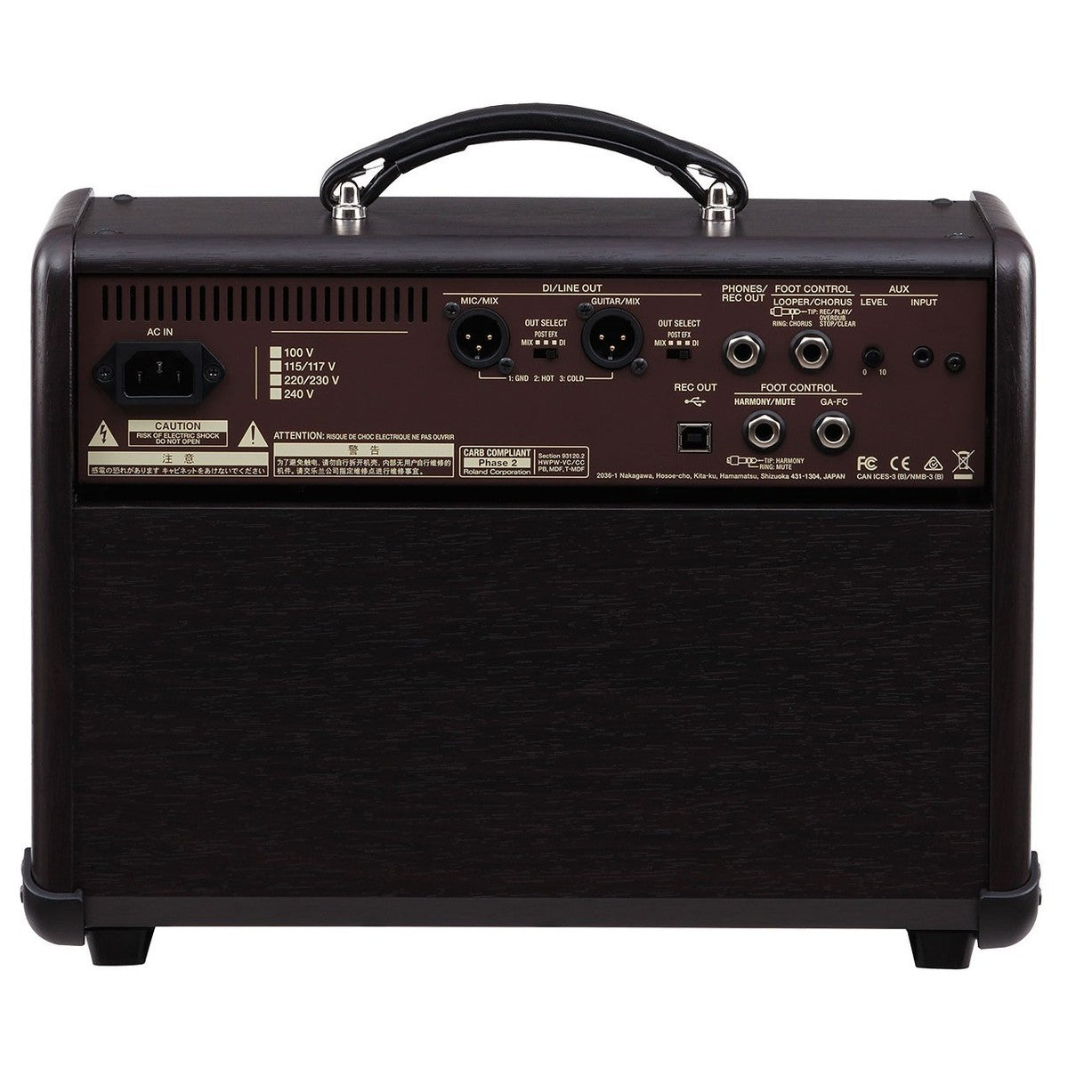 Amplifier Boss Acoustic Singer Live, Combo - Việt Music