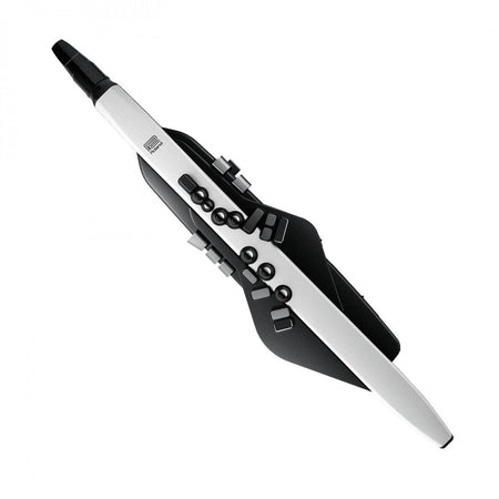 Kèn Điện Roland Aerophone AE-20