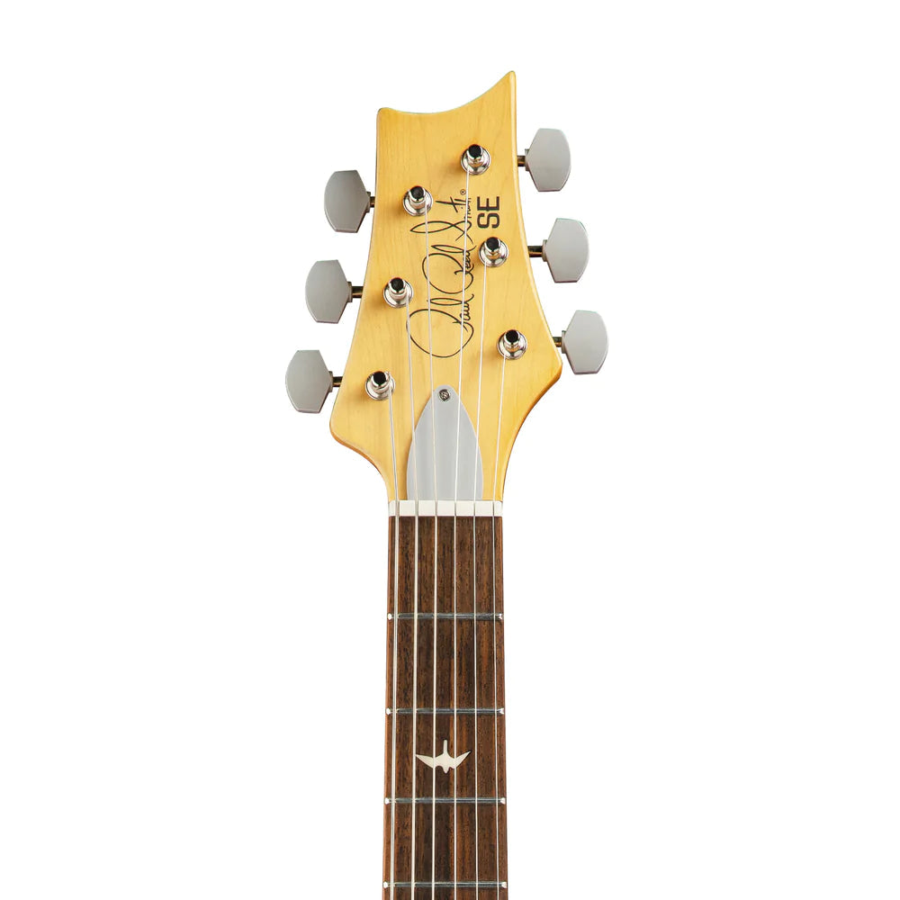 Đàn Guitar Điện PRS SE Silver Sky w/Bag