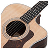 Đàn Guitar Taylor 214ce Acoustic