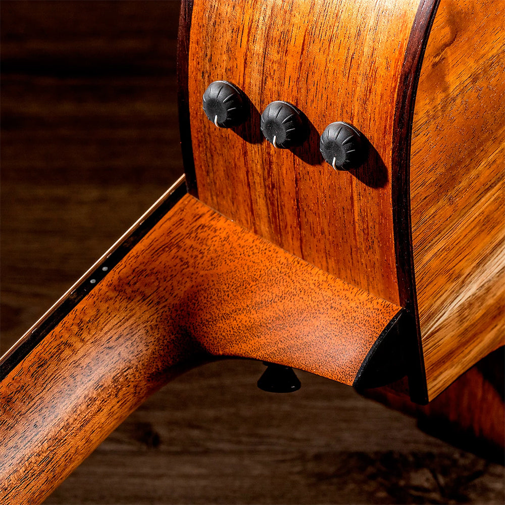 Guitar Taylor 722CE