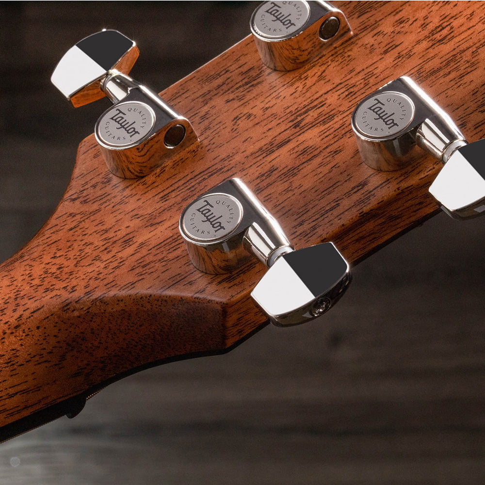 Đàn Guitar Taylor 818E Acoustic w/Case