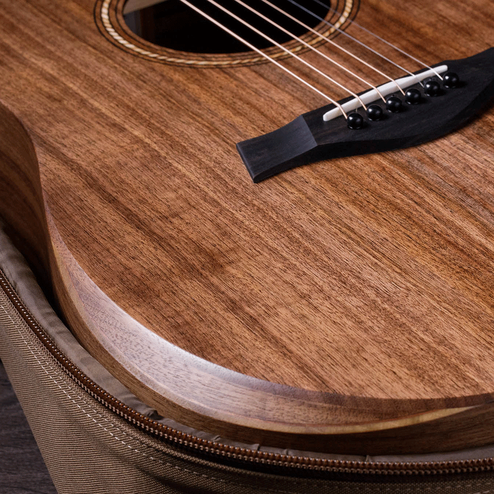 Đàn Guitar Taylor A20E Acoustic w/Bag