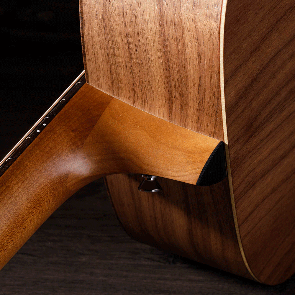 Đàn Guitar Taylor A20E Acoustic w/Bag