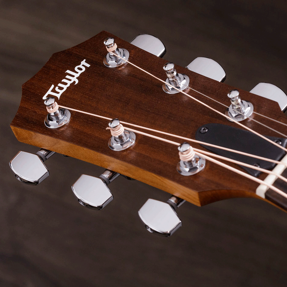 Đàn Guitar Taylor A20E Acoustic w/Bag