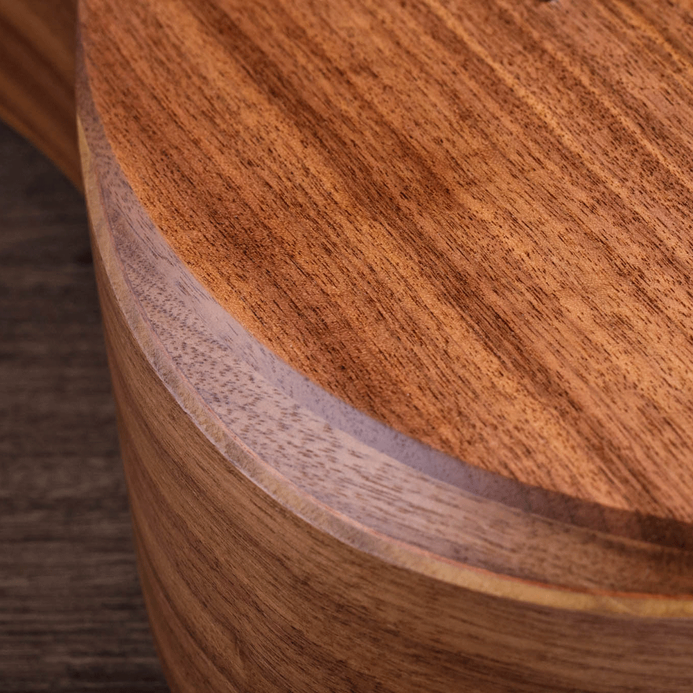 Đàn Guitar Taylor A20E Acoustic w/Bag