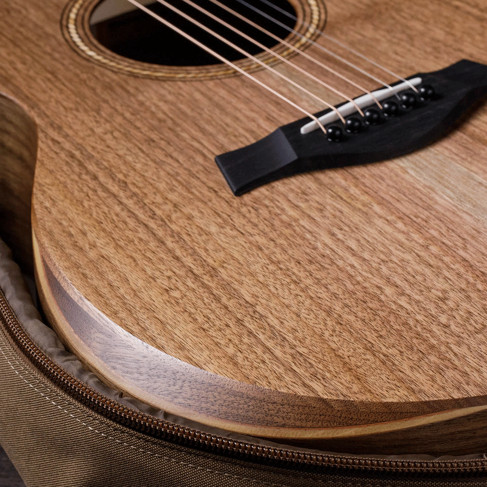 Đàn Guitar Taylor A22E Acoustic w/Bag