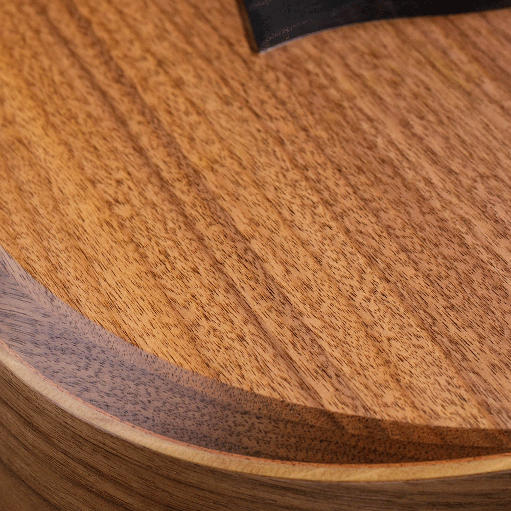 Đàn Guitar Taylor A22E Acoustic w/Bag