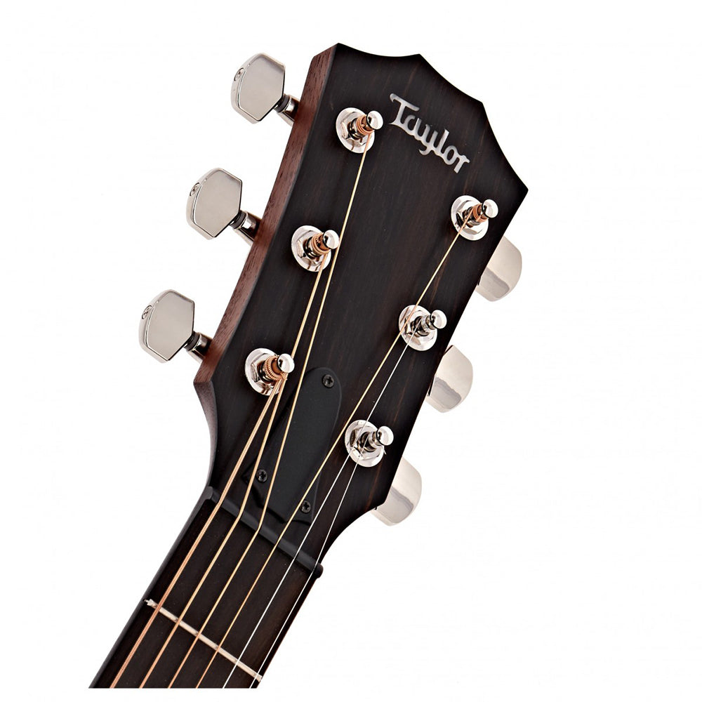 Guitar Taylor AD17