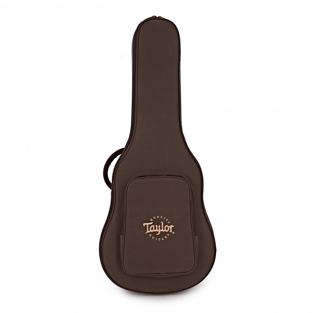 Guitar Taylor GT811E