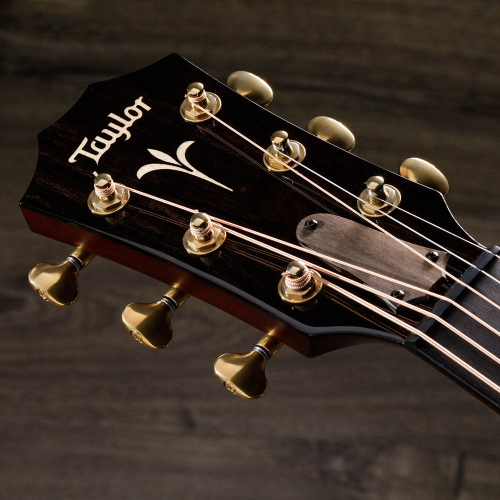 Guitar Taylor GT K21E