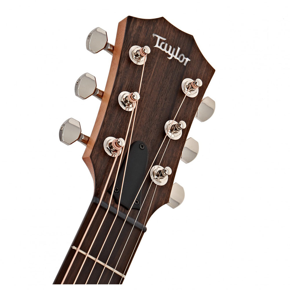 Taylor GT Urban Ash