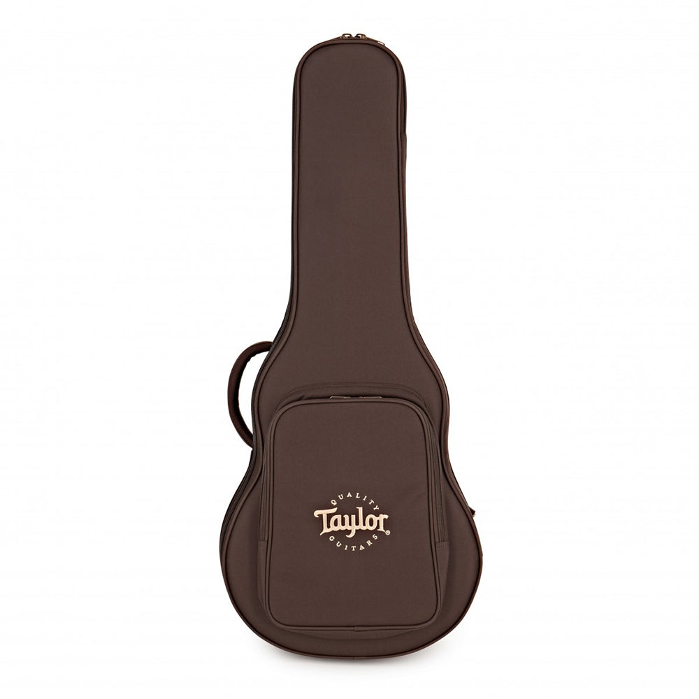 Đàn Guitar Taylor GTE Urban Ash